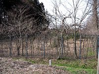 芝生公園として整備が望まれる県有の敷地